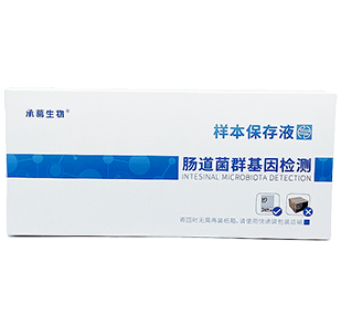 海月·消化版